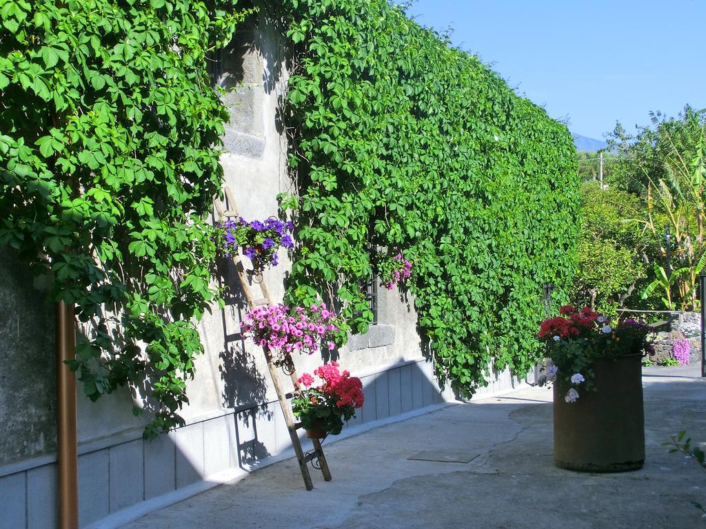 Il Limoneto Acireale Villa Екстериор снимка