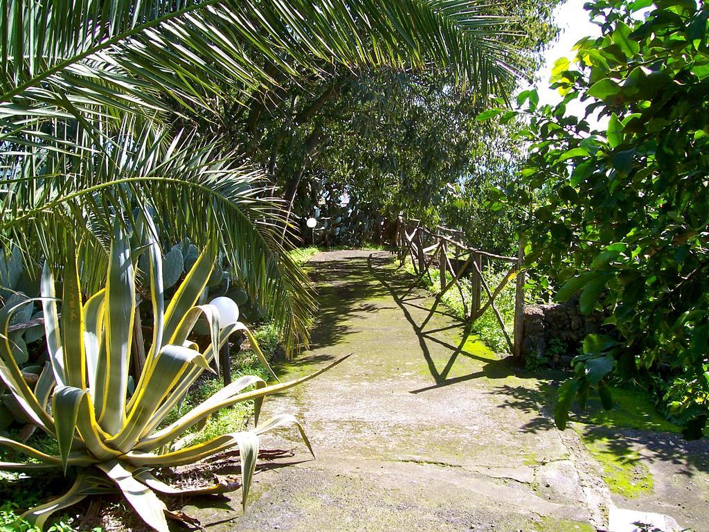 Il Limoneto Acireale Villa Екстериор снимка